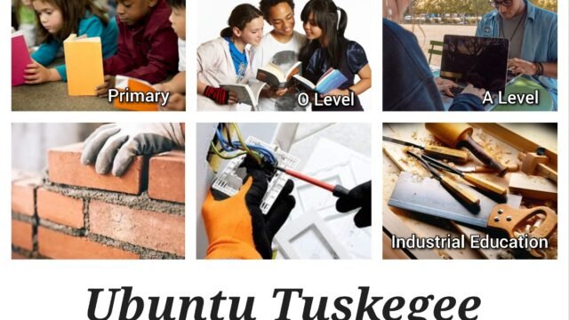 InCollage_20241130_103839606